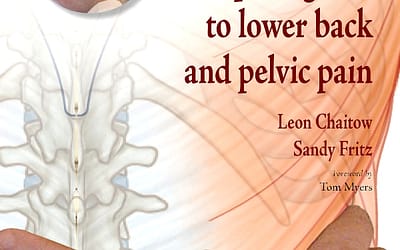 A Massage Therapist’s Guide to Lower Back and Pelvic Pain 1e